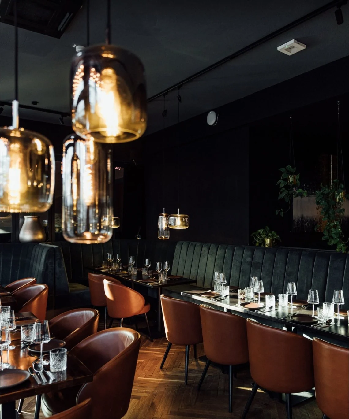 Golden beleuchteter Gastraum mit Ledersitzen im IVY